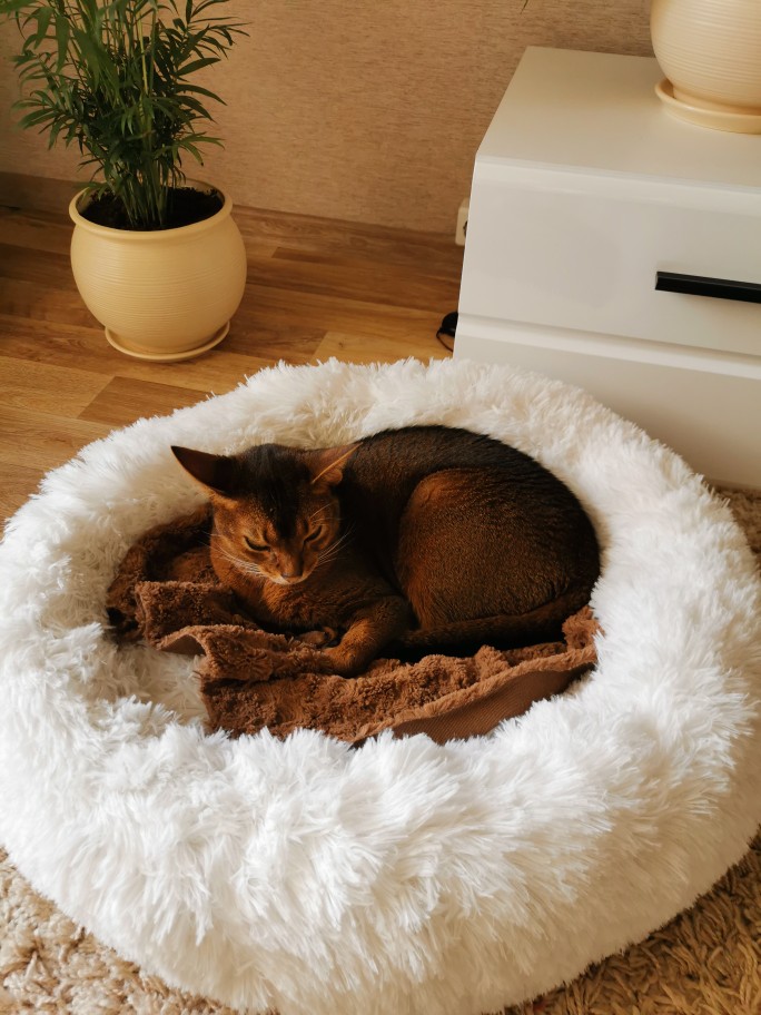 Coussin peluche pour animaux de compagnie, accessoire de maison, lit pour grands chiens, chat, labrador, tapis super doux