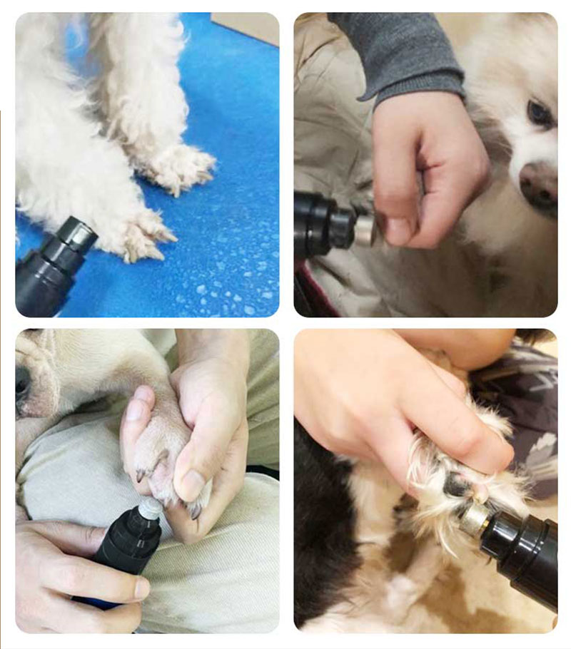 Coupe-ongles électrique pour animal de compagnie, matériel de toilettage rechargeable, avec chargeur usb, idéal pour griffes de chat et chien