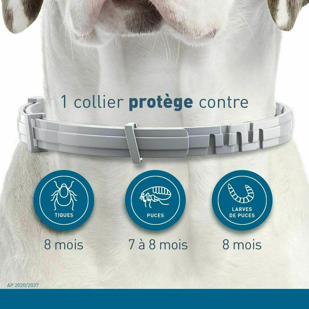 Collier anti-puces et tiques pour chiens de 8 mois, collier anti-puces et anti-tiques pour grands chiens de plus de 18 livres, collier anti-puces pour petits chiens et chats, 2 pièces