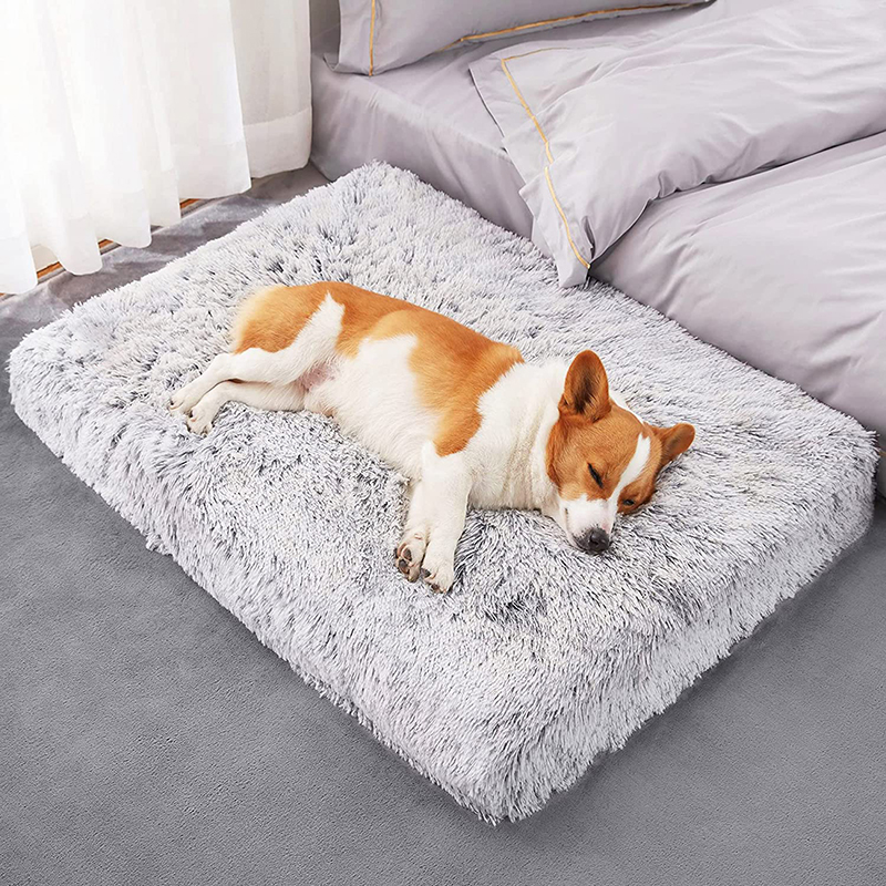 Tapis de lit en peluche pour chien, lits de chat pour petits, moyens et grands chiens, coussin amovible pour le nettoyage des chiots, lits Super doux pour chiens et animaux de compagnie
