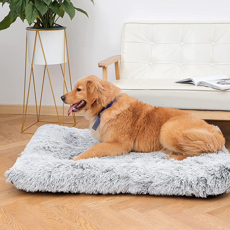 Tapis de lit en peluche pour chien, lits de chat pour petits, moyens et grands chiens, coussin amovible pour le nettoyage des chiots, lits Super doux pour chiens et animaux de compagnie