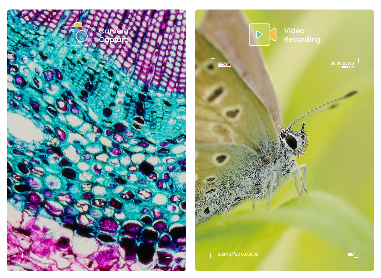 Andonstar – Microscope numérique 10